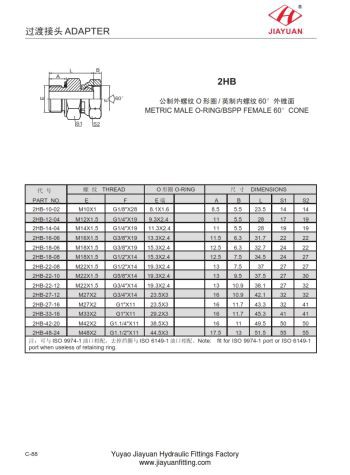 BSP Swivel Cone Male Metric ORR